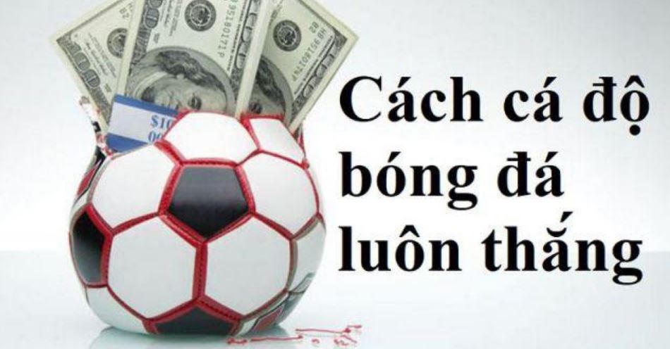 Anh em đã biết tips cá độ luôn thắng của chuyên gia chưa?