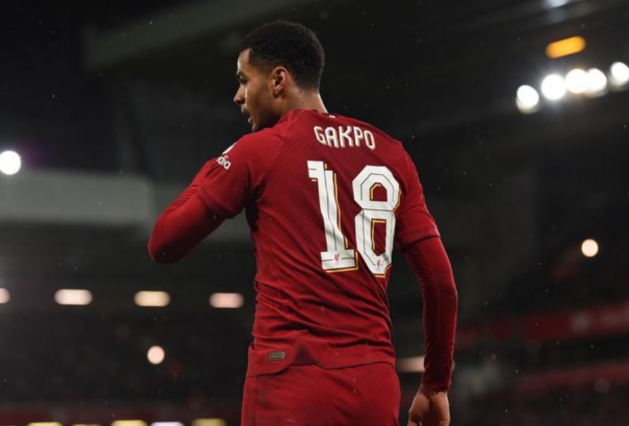 Cody Gakpo - Tân binh đầy hứa hẹn của Liverpool