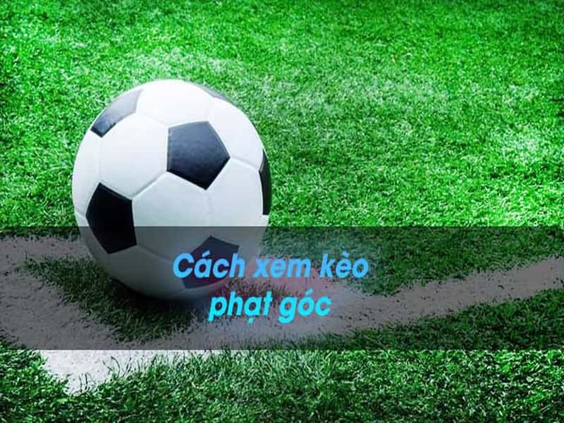 Hướng dẫn tham gia kèo phạt góc