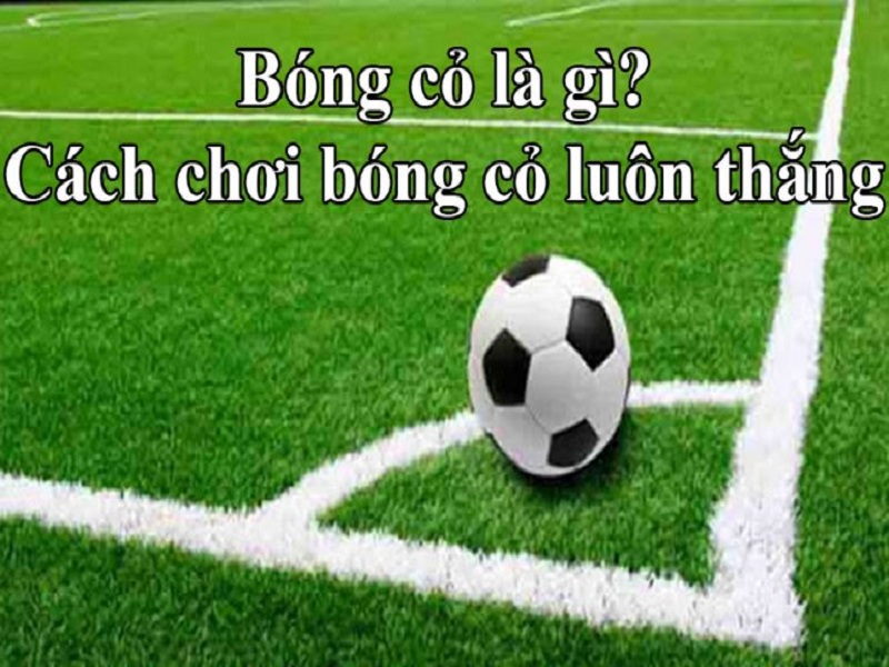 Bóng cỏ là gì?