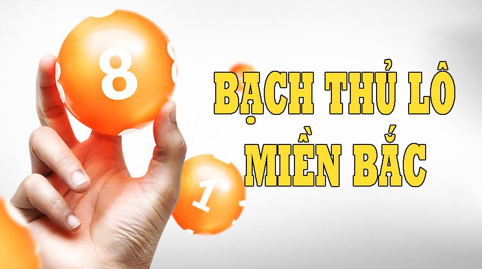 Tiết lộ cách chơi bạch thủ lô hay nhất dành cho tân thủ
