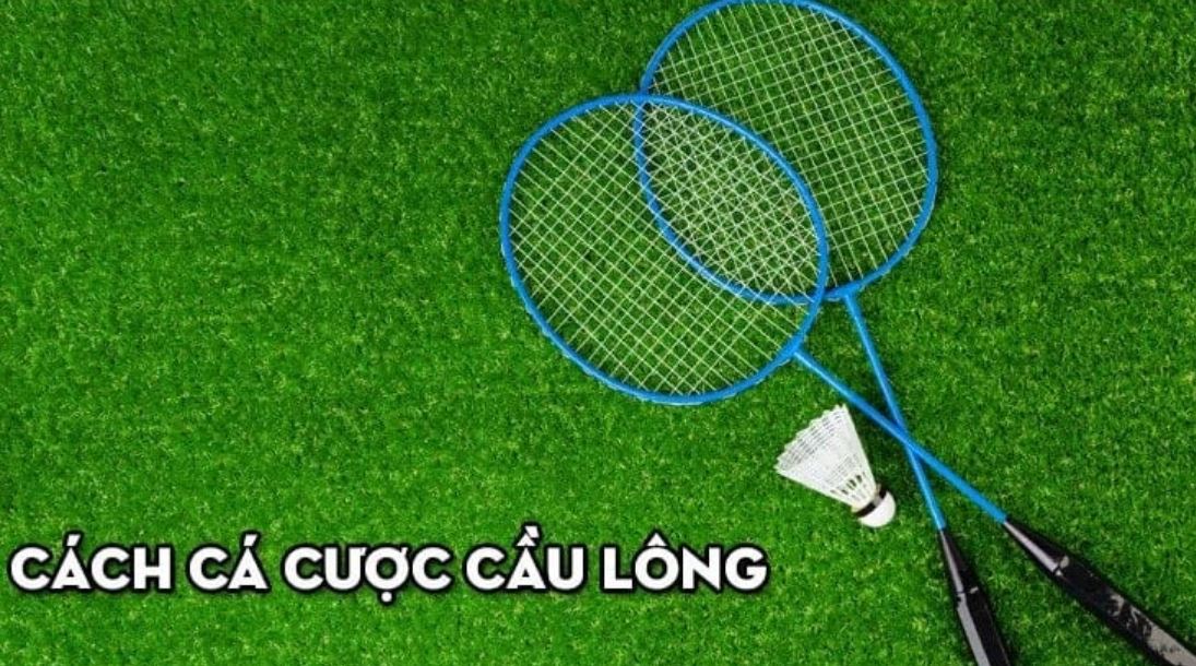 Tham gia cá cược cầu lông tại UK88bet
