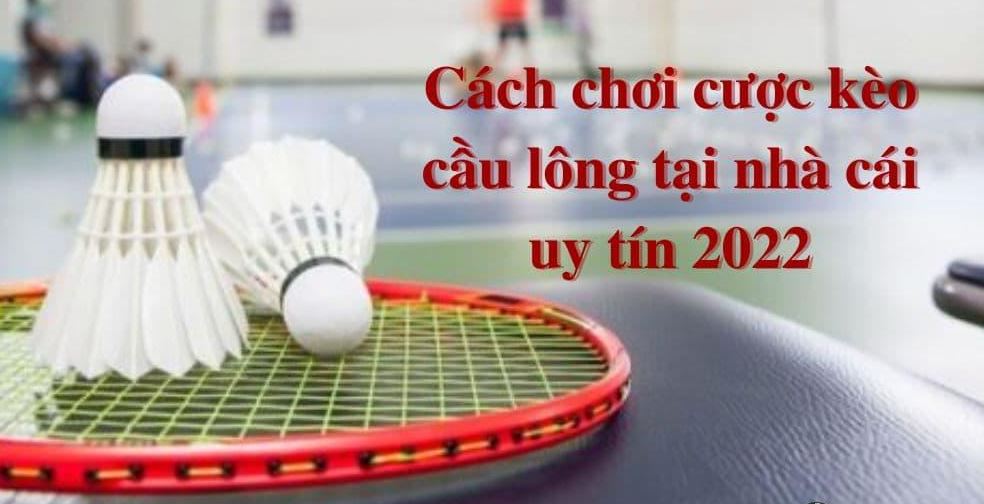 Hướng dẫn cách cá cược cầu lông tại UK88 vip
