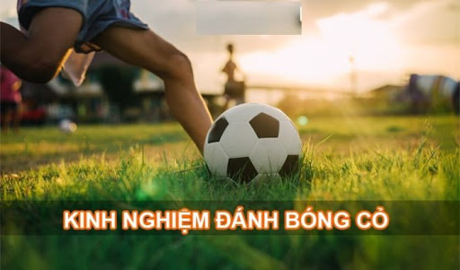 kinh nghiệm Bóng cỏ