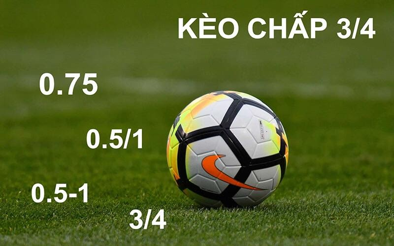 các tỷ lệ thường thấy trong kèo châu á